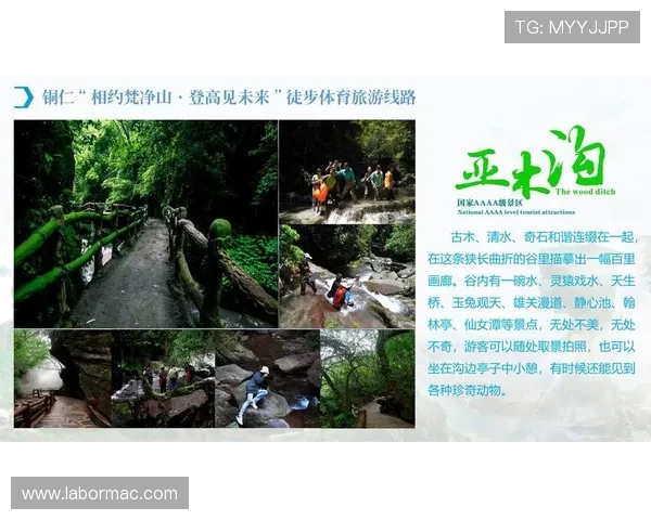 体育旅游线路中的赛事历史文化讲解服务